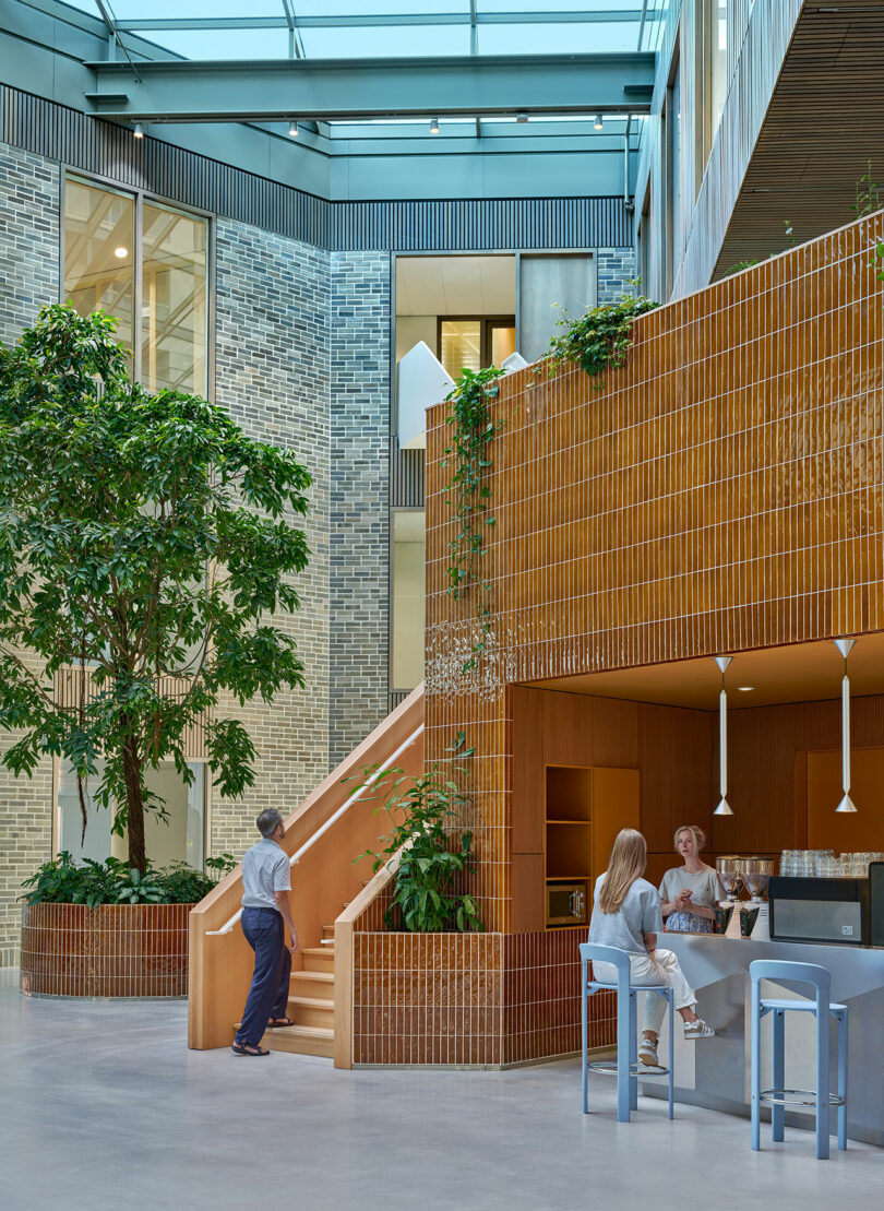 Modern indoor atrium with natural light, large tree, wooden staircase, and two women seated at a counter while a man walks upstairs.