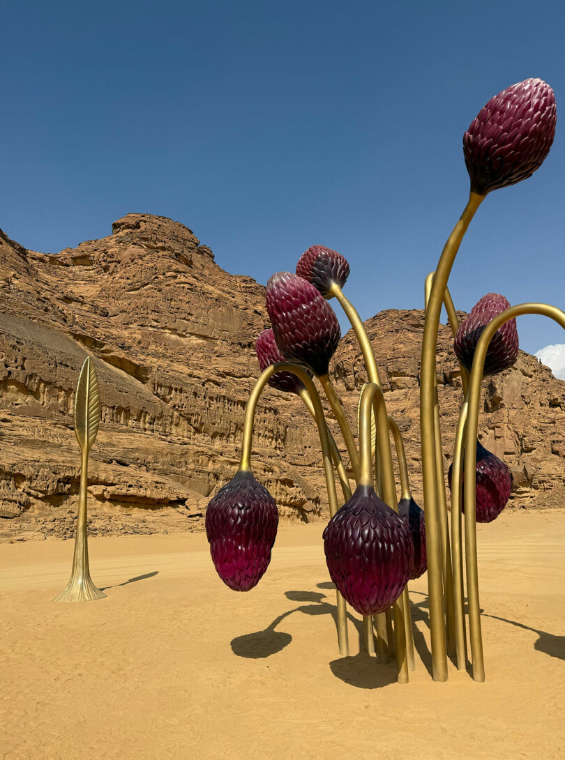 Large metallic sculptures resembling flower buds and stems rise from the desert landscape of AlUla, framed by rocky cliffs under a clear blue sky.