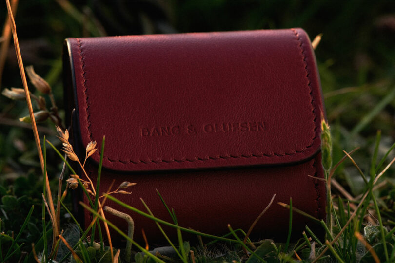 A small, closed, red leather Bang & Olufsen case is placed on grass with some dry plants around it.