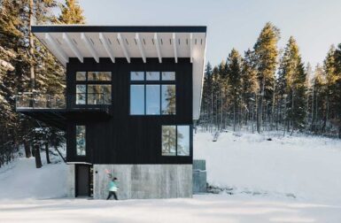A Modern Cabin Rises Above the Trees to Maximize the Views