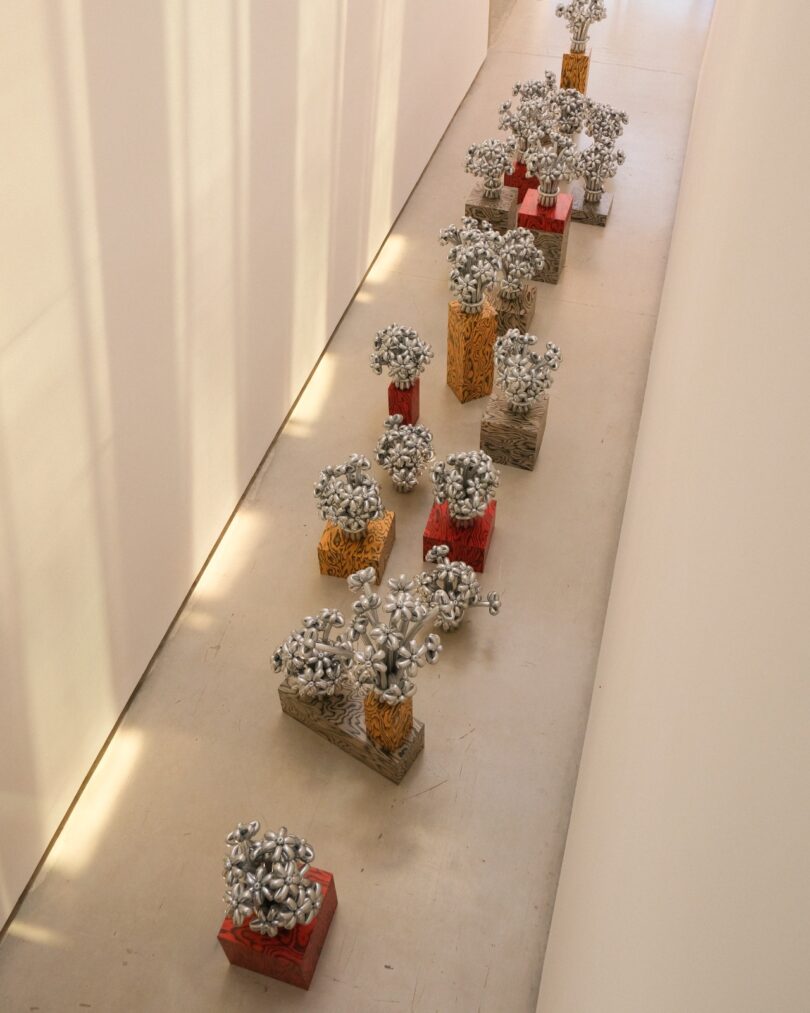 Balloon Flower installation