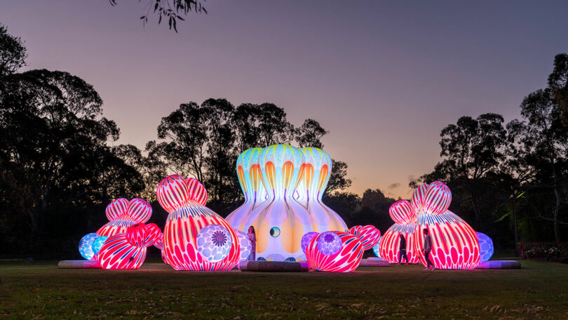 Large illuminated sculptures by Nimrod Weis, adorned with colorful, glowing patterns, are displayed outdoors on grass at dusk, with trees silhouetted in the background.
