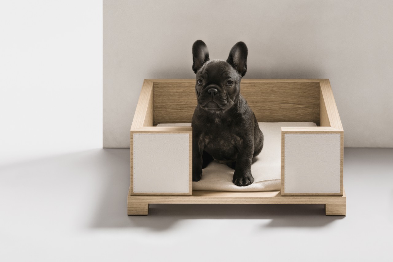 Giobagnara Gives Pets a Luxurious Home Upgrade in Leather
