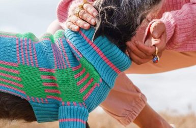 Take 5: Eye-Catching Art, Events, Dog Sweaters + More