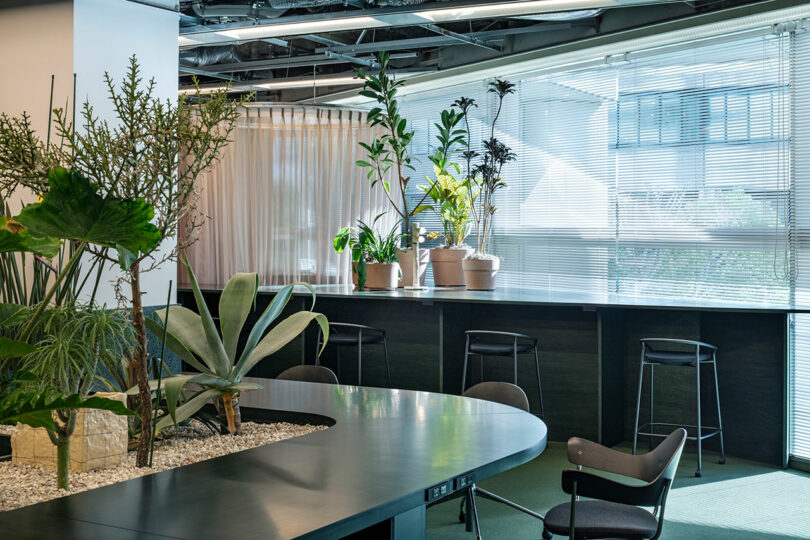 Modern office space with large indoor plants, curved black table, black stools by a window with blinds, and natural light coming in.