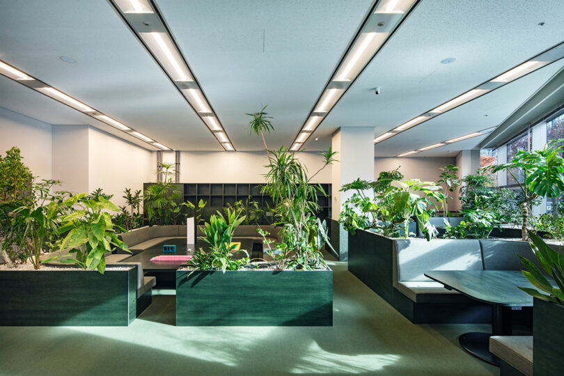 Modern office space with abundant indoor plants, built-in seating areas, large windows, and natural light.