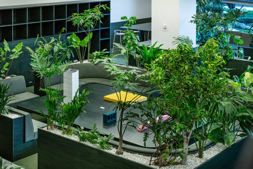 Modern indoor office space featuring abundant green plants, modular seating, a table, and open shelving, creating a natural and open work environment.