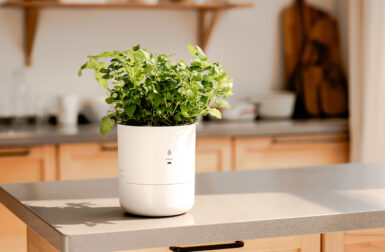 LeafyPod Is a Self-Watering Smart Planter That Saves Your Sanity