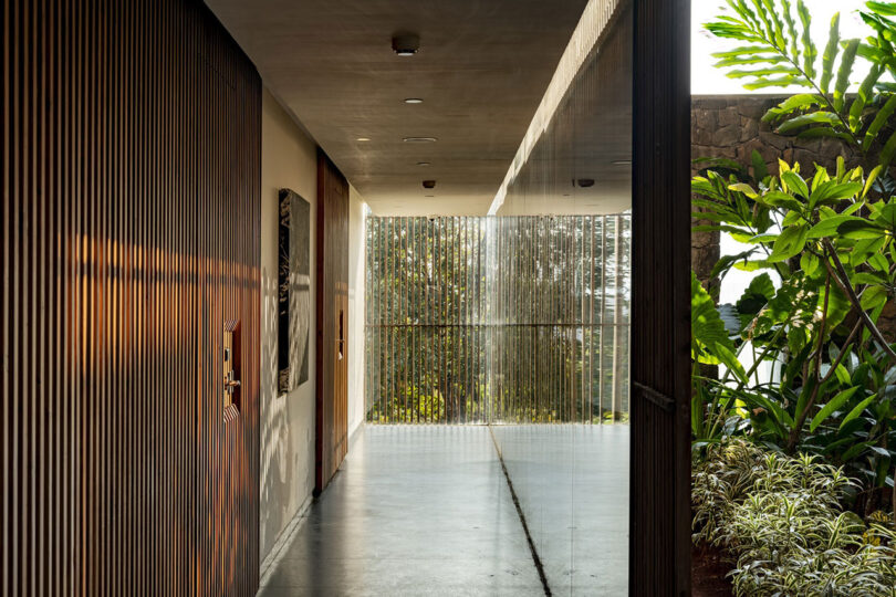 A modern corridor by Malik Architecture features wooden paneling on one side, glass walls on the other, and lush greenery visible outside in natural sunlight.