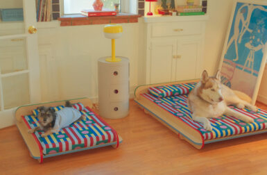 Say No More to Boring Pet Beds With NomoHaus