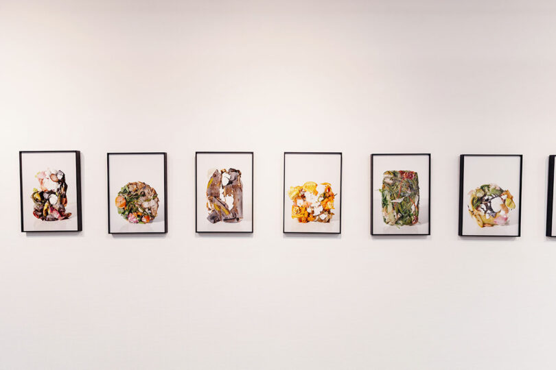 Six framed artworks hang on a white wall, each featuring collages of various organic materials arranged in the shapes of different letters.