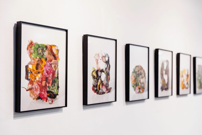 A row of framed photographs featuring colorful, abstract compositions hangs on a white gallery wall.