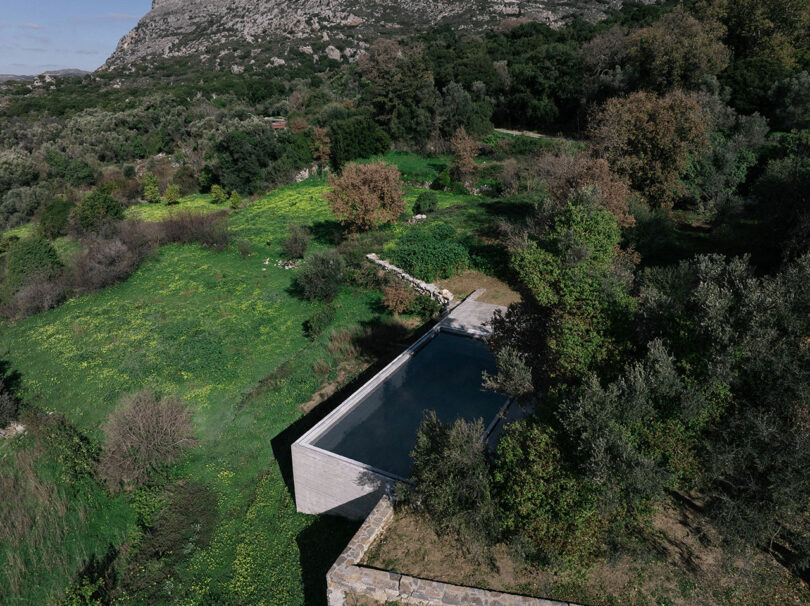 A rectangular swimming pool with concrete edges sits beside dense trees and green grass at the foot of a rocky hill, capturing the serene design aesthetics of Meraki Studios.