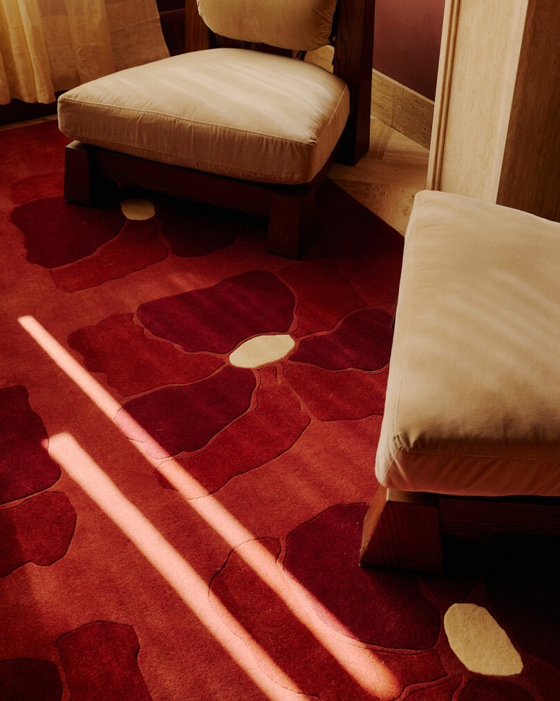 Two beige cushioned chairs sit on a red floral-patterned carpet, with sunlight casting two bright lines across the floor.