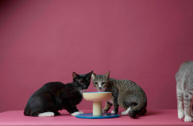 The New Smallserve Bowls from Smalls Keep It Clean