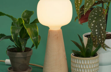 Grow Lamps No Longer Need to be Unsightly Afterthoughts