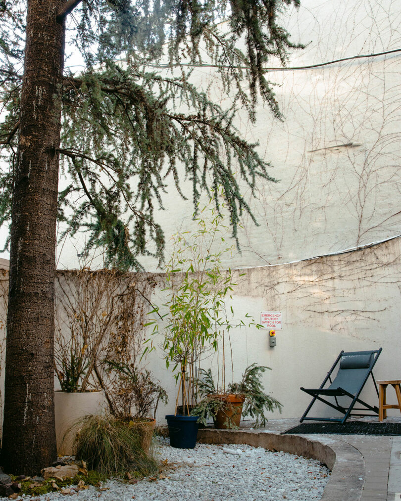 A small outdoor patio with potted plants, a large tree, gravel ground, a lounge chair, and a pale curved wall in the background.