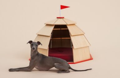 Take 5: Architecture for Dogs, Modern Tear-off Calendars, Organization Parcels + More