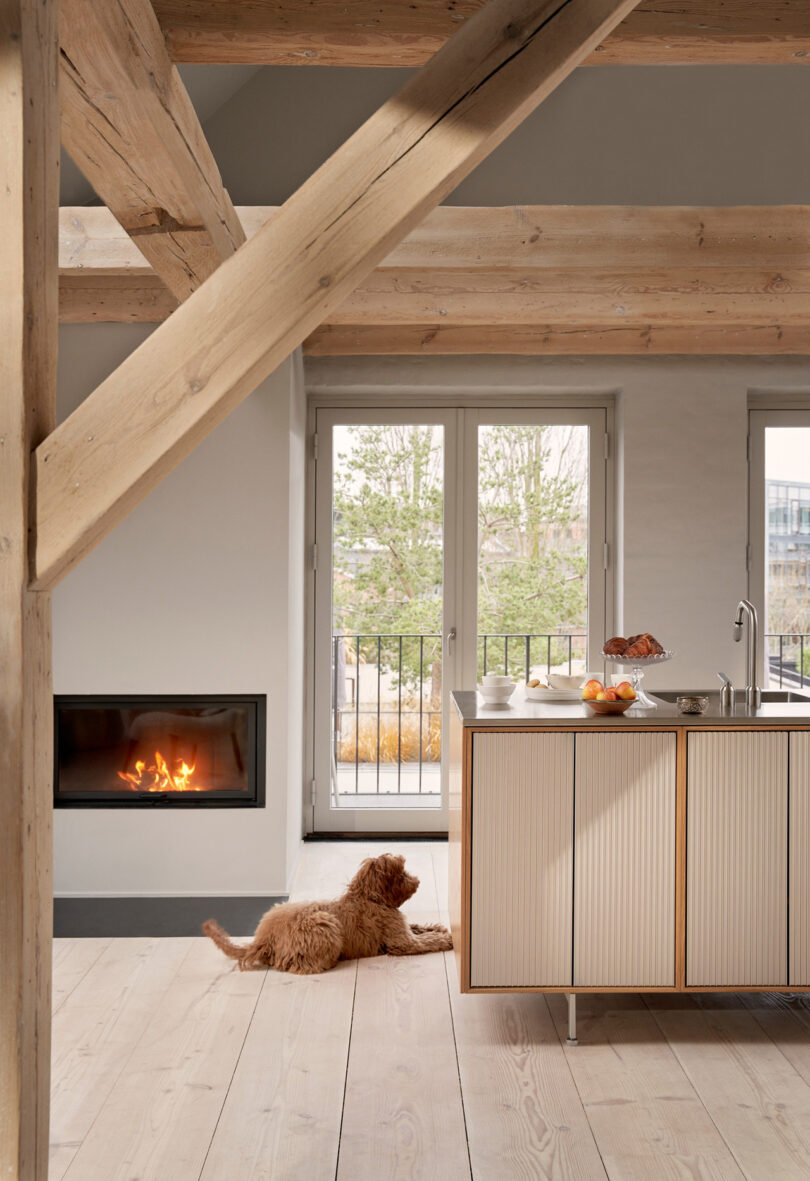 A brown dog lies on a light wood floor in a modern kitchen featuring Vipp accents, with a lit fireplace, wooden beams, and large glass doors leading outside.